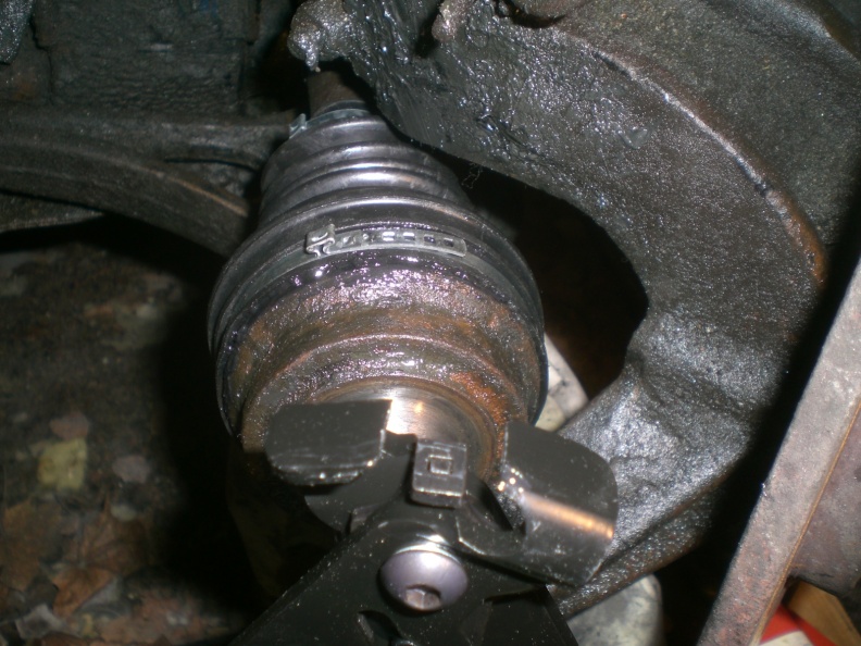 CIMG8427